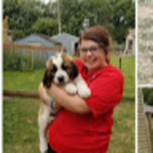 Meet your Posher, Harley